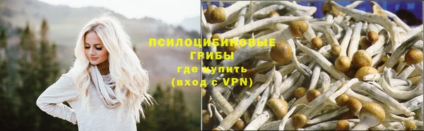 кокс Богородицк