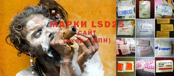 PSILOCYBIN Богданович