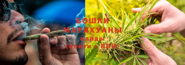 дурь Богородск