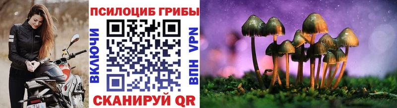 Псилоцибиновые грибы MAGIC MUSHROOMS  Купить  Бирюч 